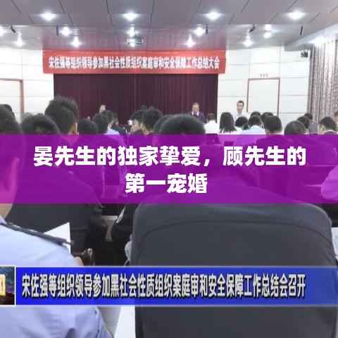 晏先生的独家挚爱,顾先生的第一宠婚