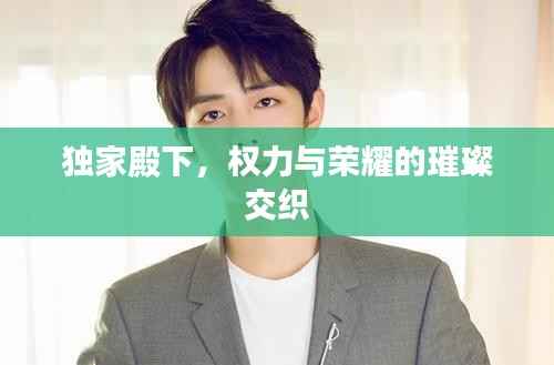 独家殿下，权力与荣耀的璀璨交织