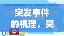 突发事件的机理,突发事件的基本原则