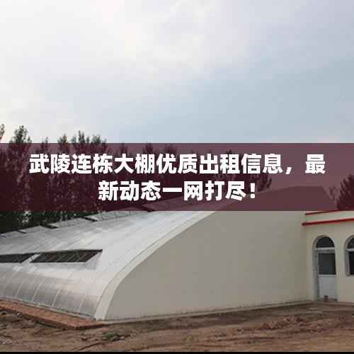 富贵凝香