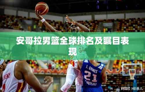 纲举目张