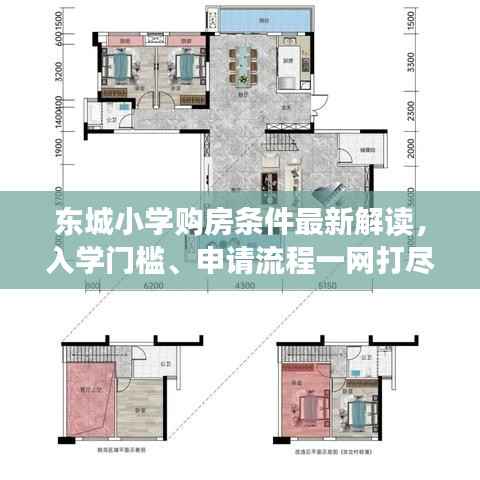 东城小学购房条件最新解读,入学门槛、申请流程一网打尽