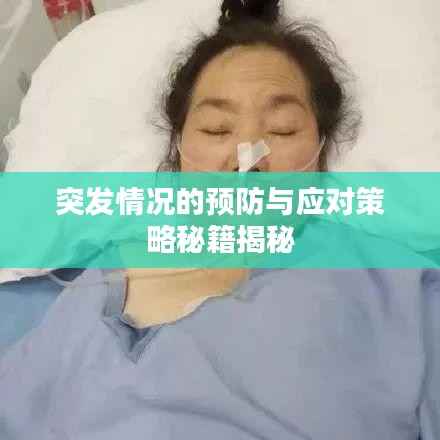 突发情况的预防与应对策略秘籍揭秘