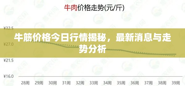 牛筋价格今日行情揭秘，最新消息与走势分析