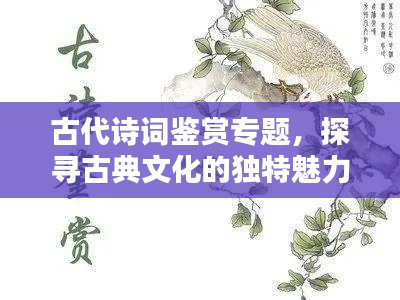 古代诗词鉴赏专题，探寻古典文化的独特魅力