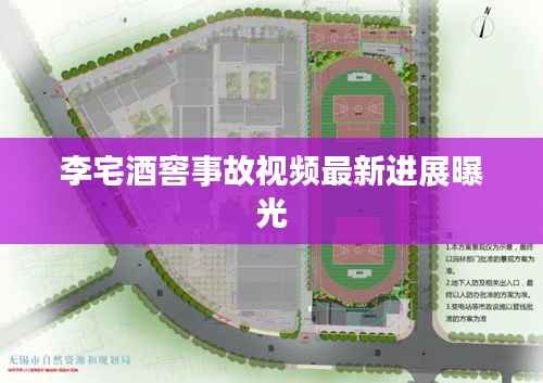 李宅酒窖事故视频最新进展曝光