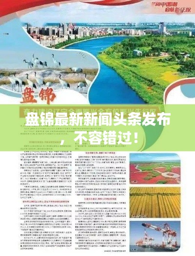 盘锦最新新闻头条发布,不容错过!