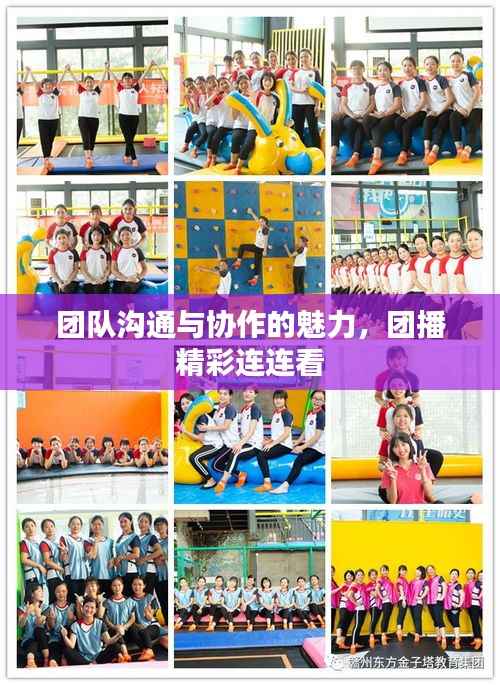 团队沟通与协作的魅力,团播精彩连连看