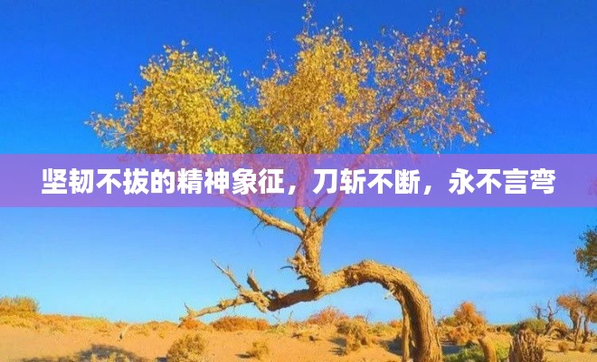 坚韧不拔的精神象征,刀斩不断,永不言弯