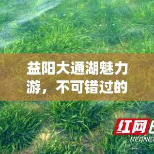 益阳大通湖魅力游,不可错过的旅游攻略!