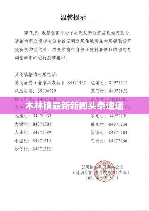 木林镇最新新闻头条速递