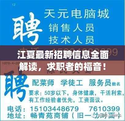 江夏最新招聘信息全面解读,求职者的福音!