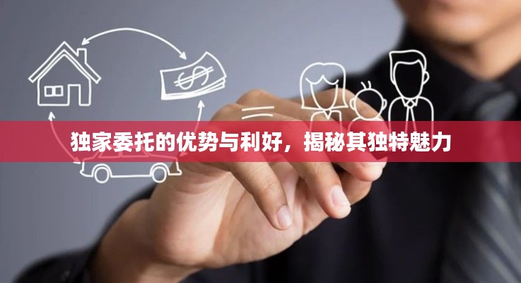 独家委托的优势与利好，揭秘其独特魅力