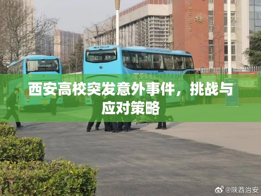 西安高校突发意外事件，挑战与应对策略