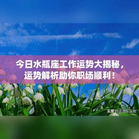 今日水瓶座工作运势大揭秘,运势解析助你职场顺利!