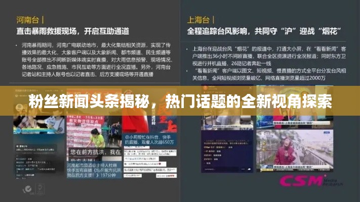粉丝新闻头条揭秘,热门话题的全新视角探索