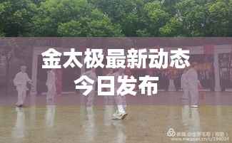金太极最新动态今日发布
